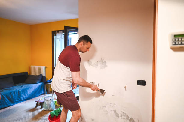 Best Residential Mold Remediation in Granite Hills, CA